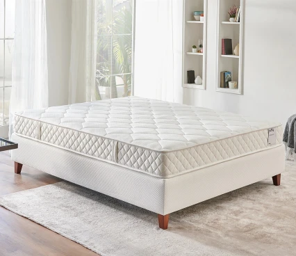 Mattresses Mattress Ergotwin image