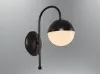 Chandeliers 5674-APL (black) Chandeliers OZCAN thumb-image