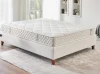 Mattresses Mattress Ergowit thumb-image