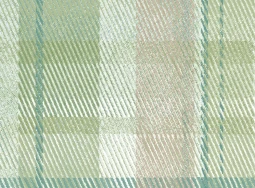 Green Tartan  Textile