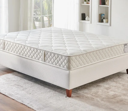 Mattresses Mattress Ergowit image