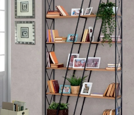 Shelves Biblioraft  Veridyen image