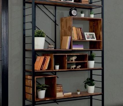 Shelves Biblioraft Class image