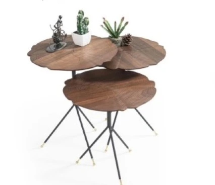 Сoffee tables Coffee Table TB-Kiev Nest image